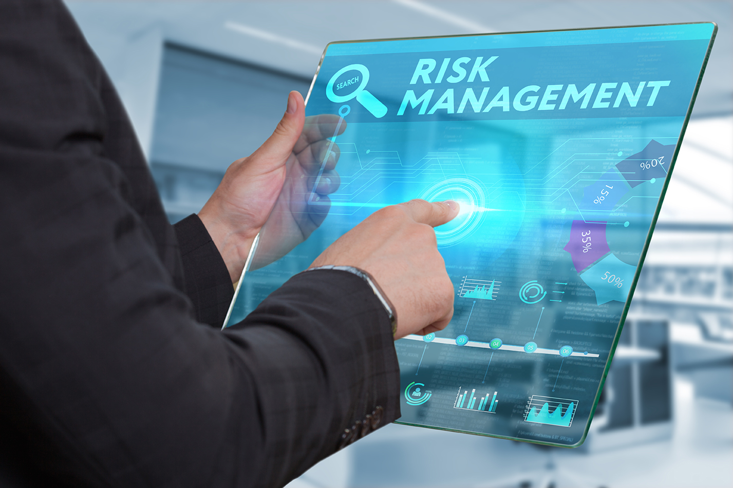 risk_management_web